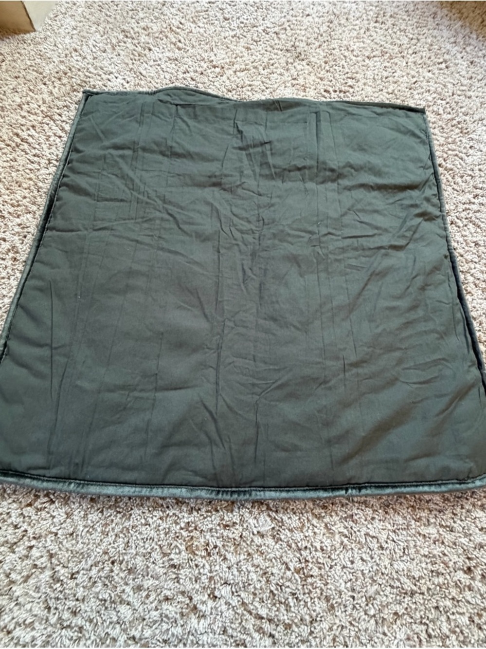 New Anthropologie lustered velvet alastair euro sham cover dark green gray - Picture 7 of 11